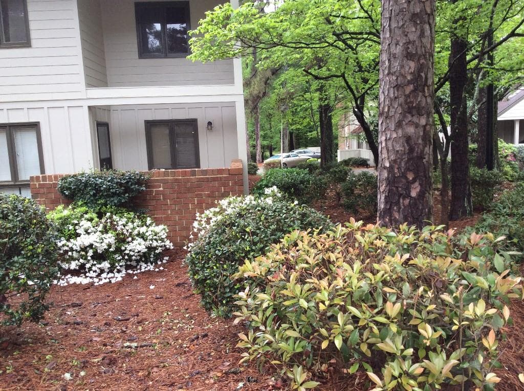 3 bedroom, 1,516 sq ft condominium sold at 893 Cedar Canyon Square 893, Marietta, GA 30067