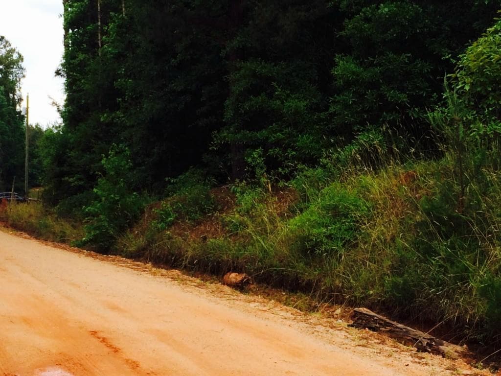 other sold at 0 Island Creek Church Road, Sparta, GA 31087