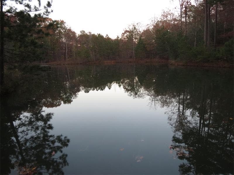 other sold at 239 Fields Chapel Road, Canton, GA 30114