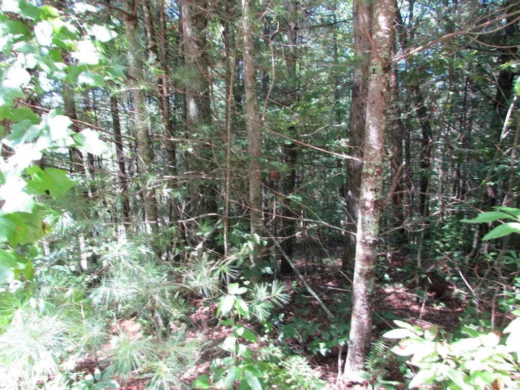 other sold at 1315 Lees Chapel Road, Cedartown, GA 30125