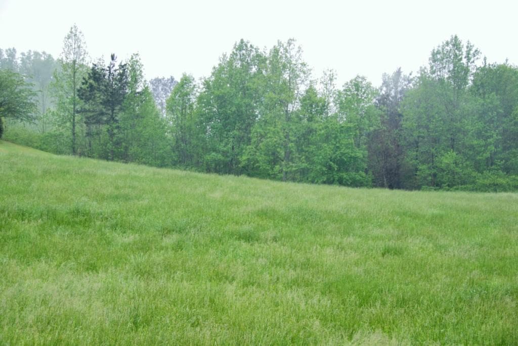 single family residence sold at 940 Holcomb Road, Ball Ground, GA 30107
