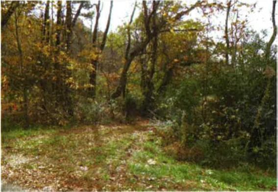 other sold at 4566 Peckerwood Road, Gillsville, GA 30543