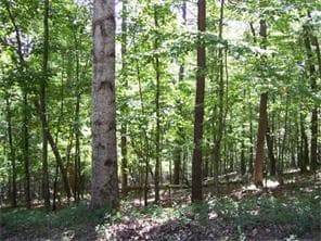 single family residence sold at 173 Little Coyotee Loop, Waleska, GA 30183