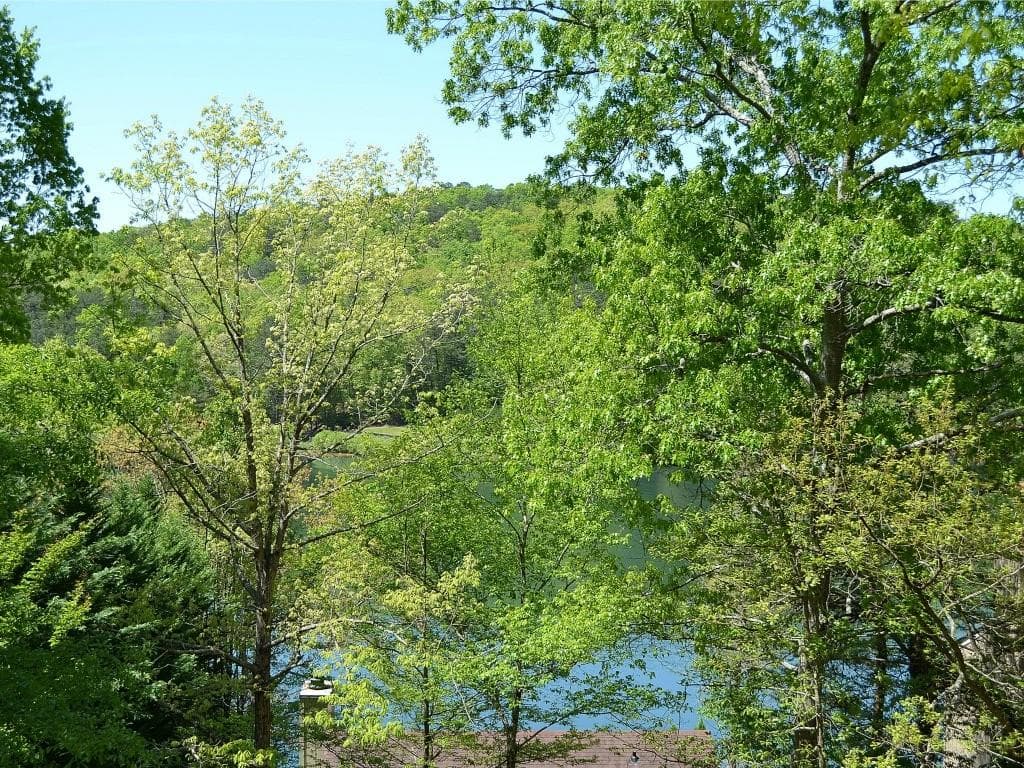 212 Narrows Drive, Waleska, GA 30183 — most recent listing photo
