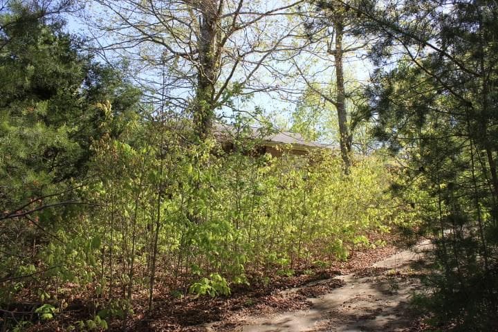 53 Lakeview Drive, Dahlonega, GA 30533 — most recent listing photo
