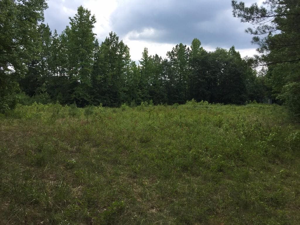 other sold at 0 Youngs Station Road, Cedartown, GA 30125