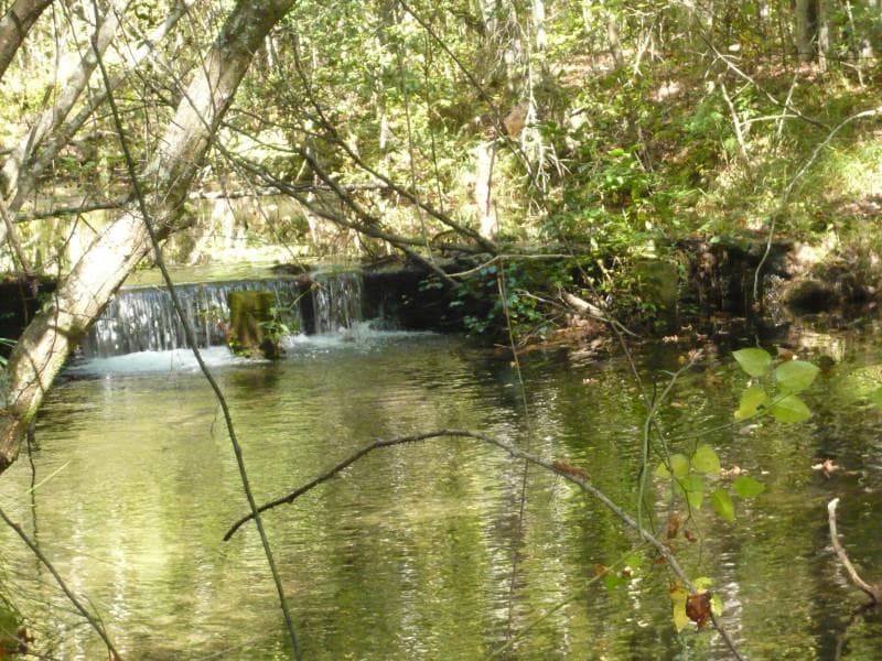 1 bedroom other sold at 855 Willingham Spring Road, Thomaston, GA 30286