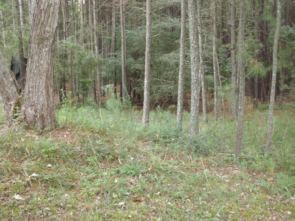 7768 Basket Creek Road, Douglasville, GA 30135 — most recent listing photo
