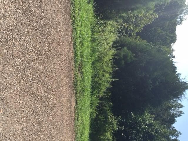other sold at 0 Soapstone Way, Canton, GA 30115