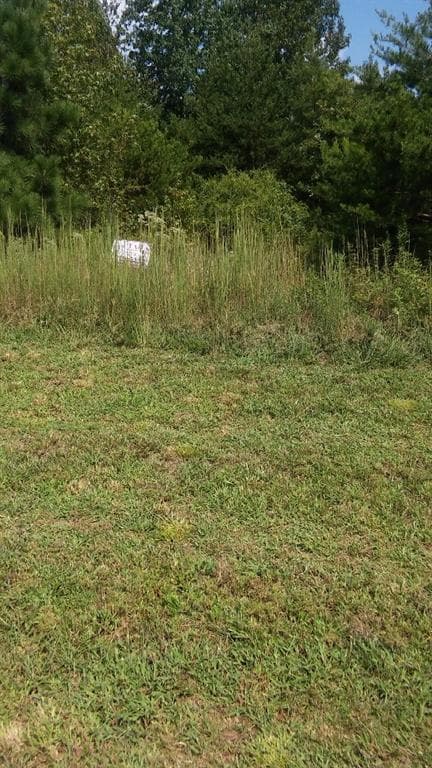 6732 Little Whistle Way, Clermont, GA 30527 — most recent listing photo