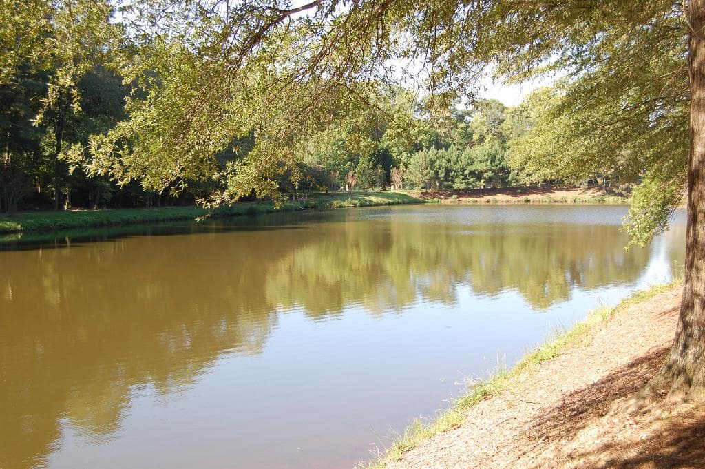 1800 Clairmont Lake 303, Decatur, GA 30033 — most recent listing photo