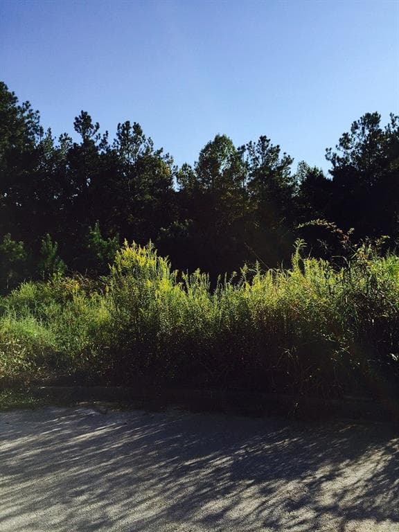 single family residence sold at 90 Sweetgum Street, Talmo, GA 30575