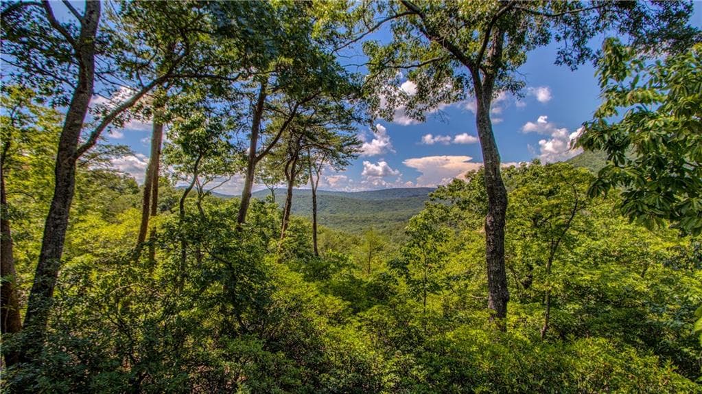 231 Cliff Fern Point, Big Canoe, GA 30143 — most recent listing photo