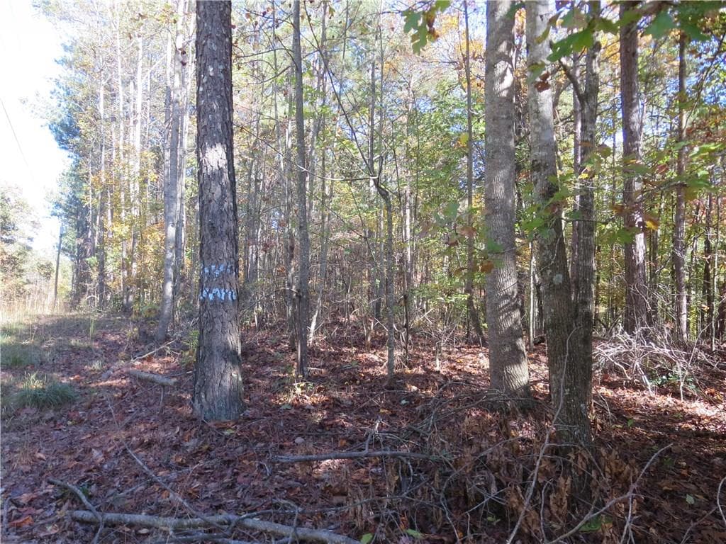 single family residence sold at 03A Old Hornage Road, Ball Ground, GA 30107