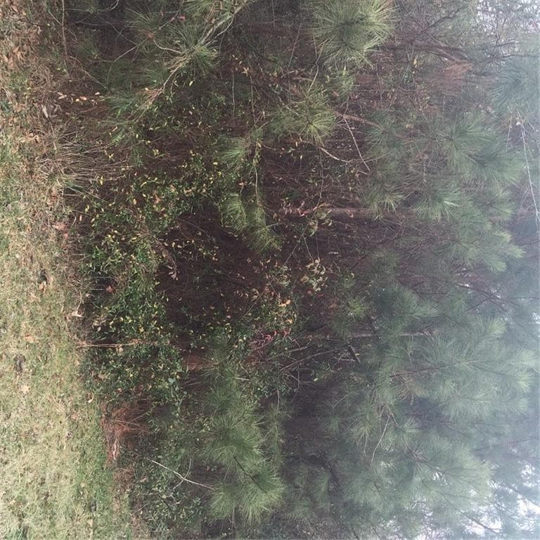 27 Hampton Farms Trail, Jasper, GA 30143 — most recent listing photo