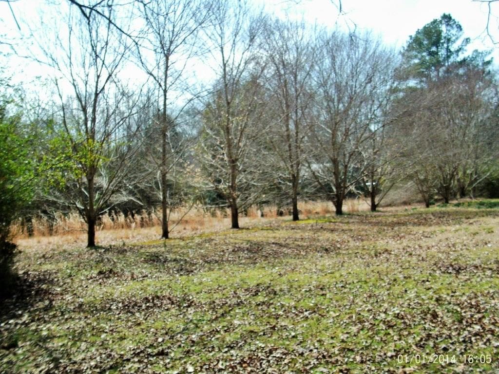 251 Mount Calvary Road, Whitesburg, GA 30185 — most recent listing photo