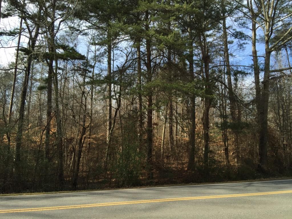 other sold at 15160 Thompson Road, Alpharetta, GA 30004