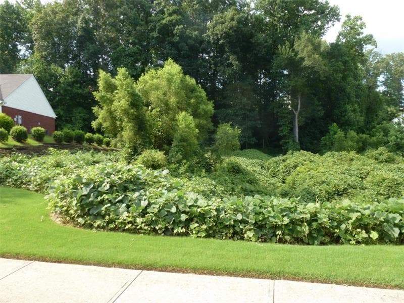 other sold at 640 Mattie Farm Place, Lawrenceville, GA 30045