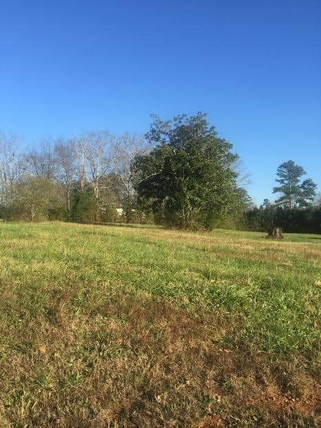 100 Grayson Meyers Drive, Villa Rica, GA 30180 — most recent listing photo