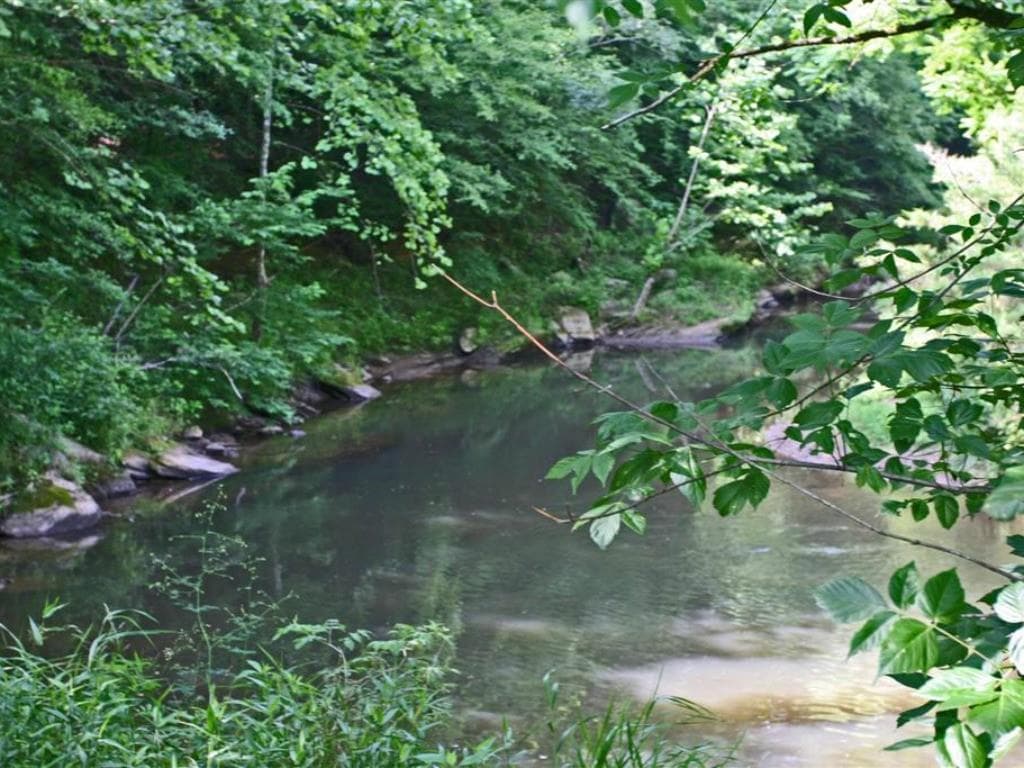 304 Hemlock Cove, Ball Ground, GA 30107 — most recent listing photo