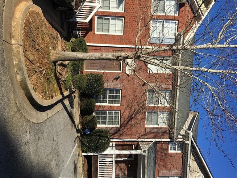 3607 Ginnis Drive 4, Atlanta, GA 30331 — most recent listing photo