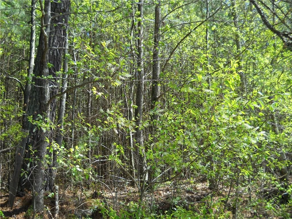 other sold at 1000 Bell Road, Bremen, GA 30110