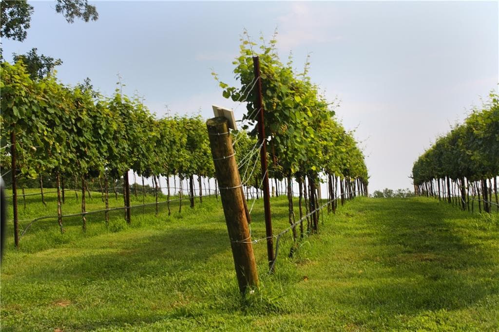 4 STRADA DEL VINO, Dahlonega, GA 30533 — most recent listing photo