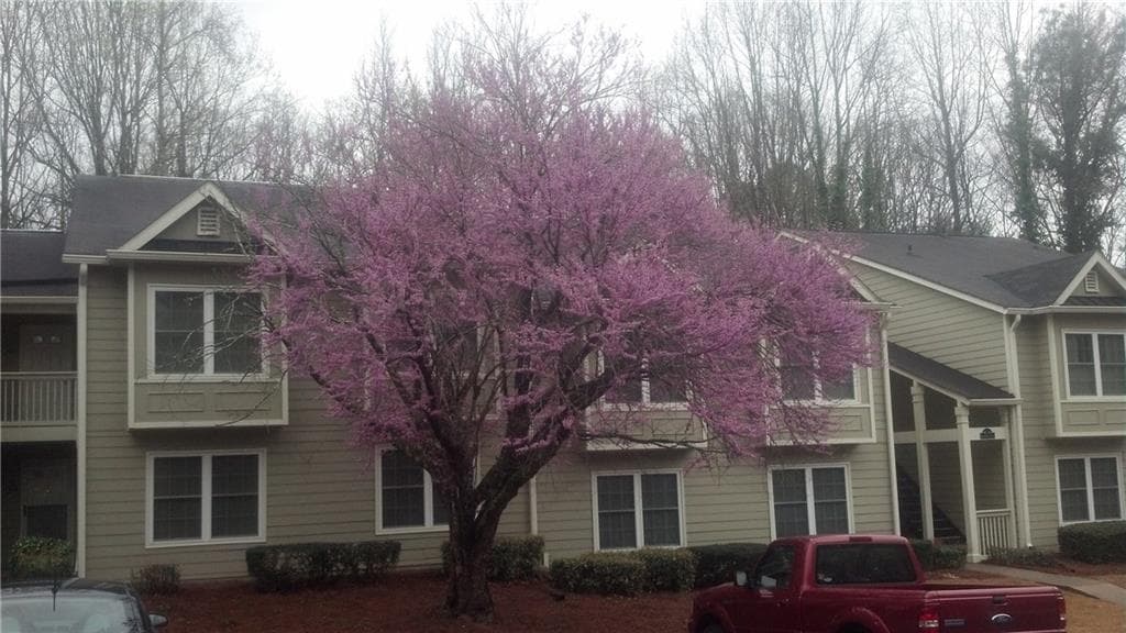 41 Fair Haven Way -, Smyrna, GA 30080 — most recent listing photo