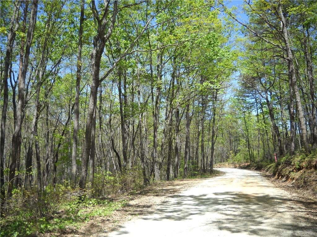 other sold at 0 Paris Road, Toccoa, GA 30577
