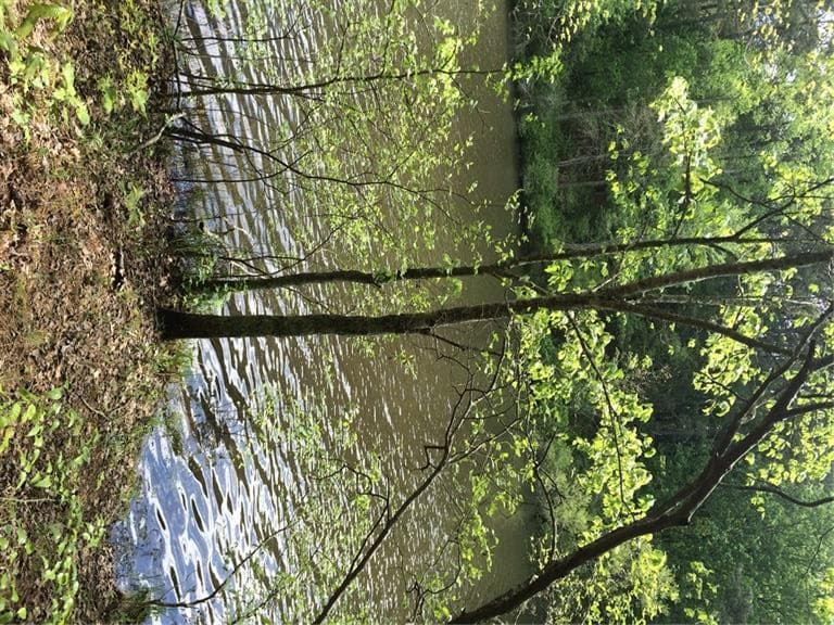 23 Spring Lake Trail, White, GA 30184 — most recent listing photo