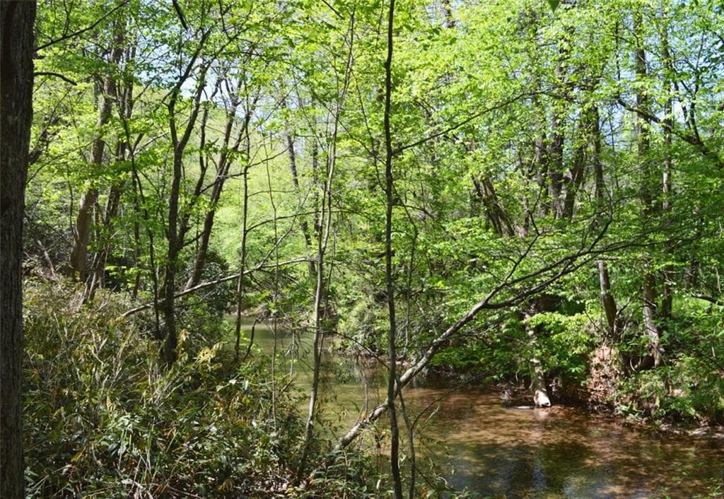 other sold at LOT 9 Merck Road, Cleveland, GA 30528
