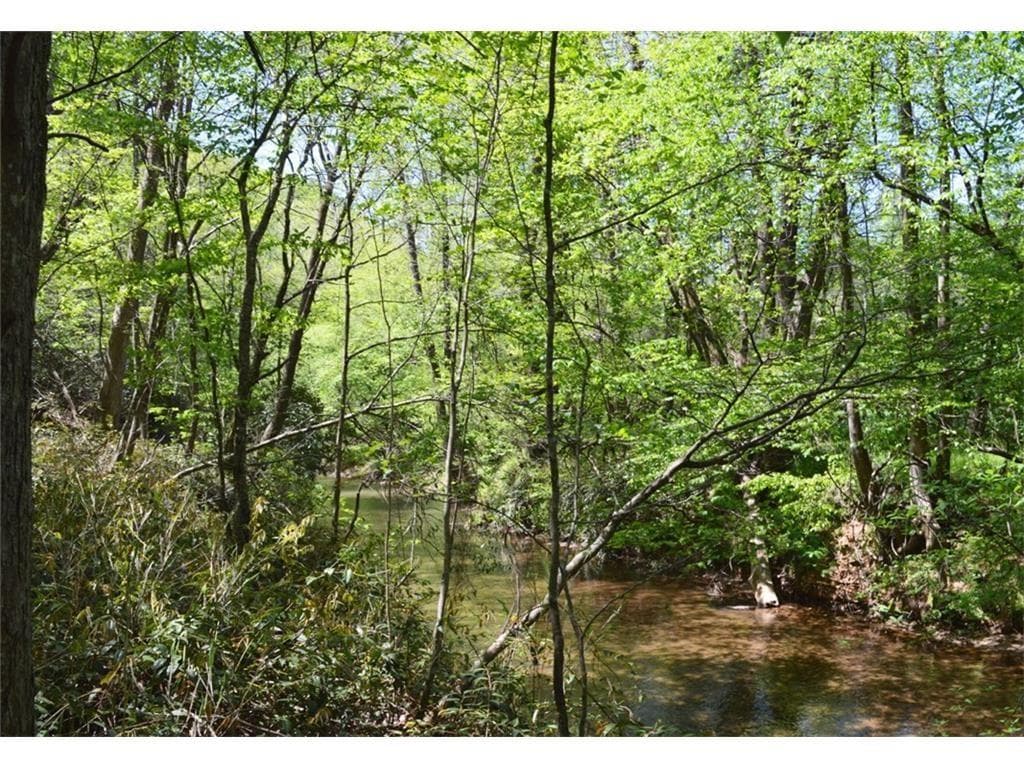 other sold at LOT 8 Merck Road, Cleveland, GA 30528