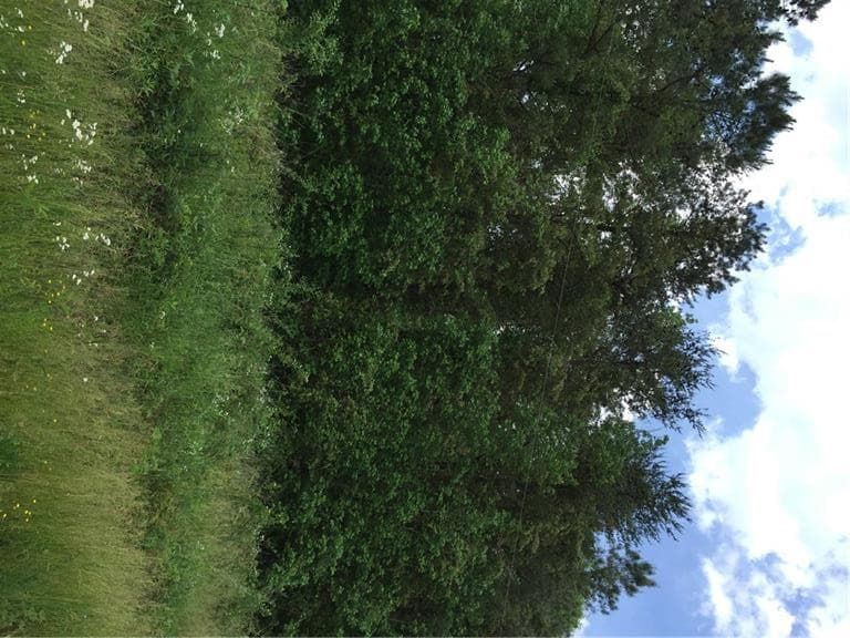 other sold at 0 Old Tennessee Highway, Rydal, GA 30171