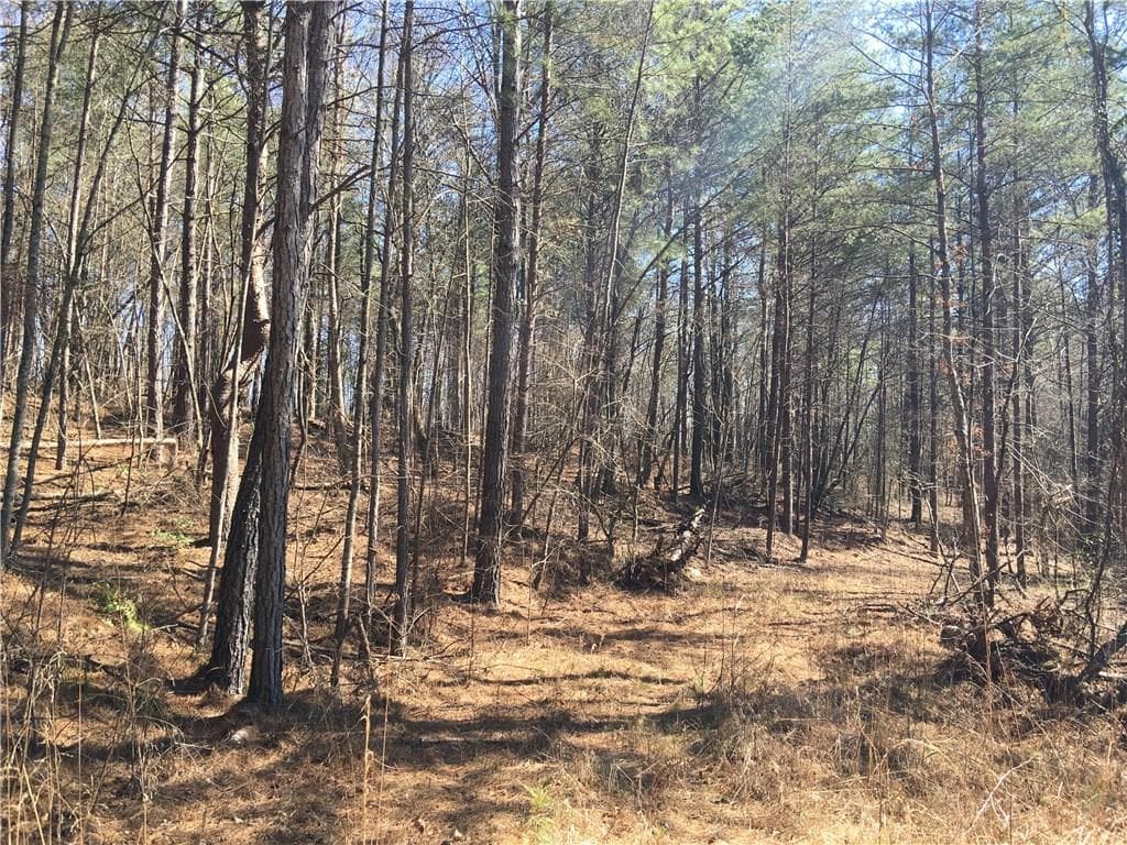 other sold at 11 acs Whitfield Lane, Ball Ground, GA 30107