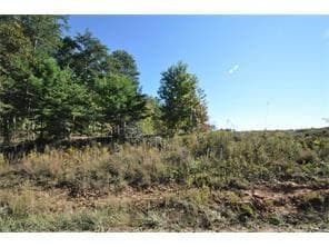 other sold at 0 Cherry Grove Road, Ball Ground, GA 30107