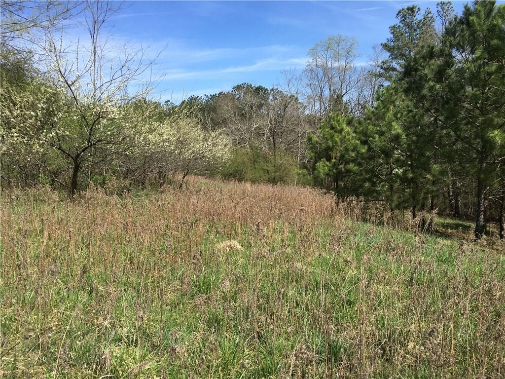 other sold at 0 Reavis Mountain Road, Ball Ground, GA 30107