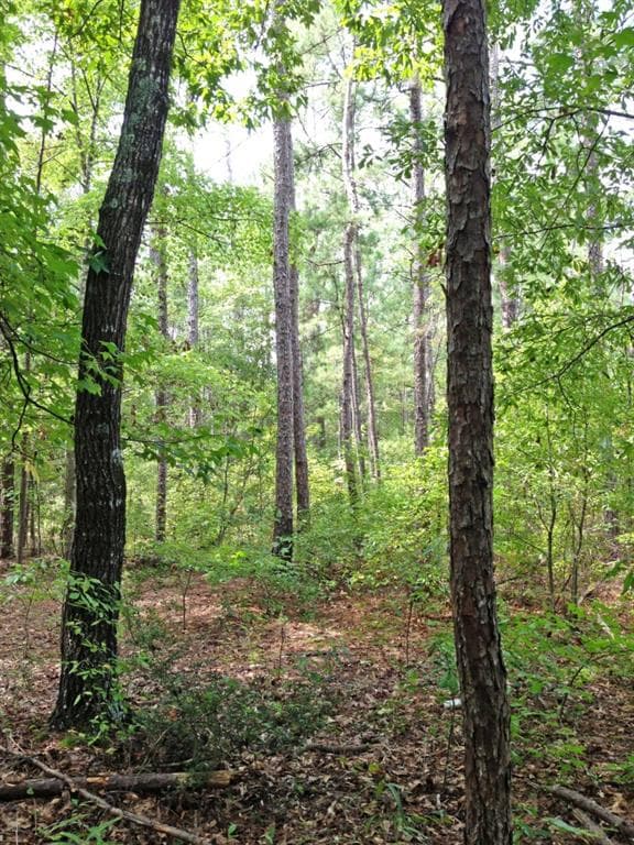 single family residence sold at 236 Sullivan Circle, Pine Mountain, GA 31822