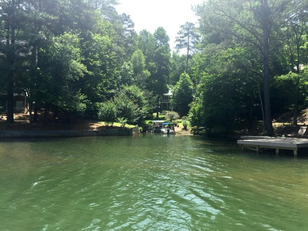 single family residence sold at 113 Bald Cypress Court, Waleska, GA 30183