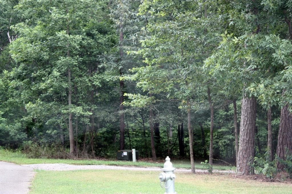 other sold at 00 Shalea Lane, Ball Ground, GA 30107