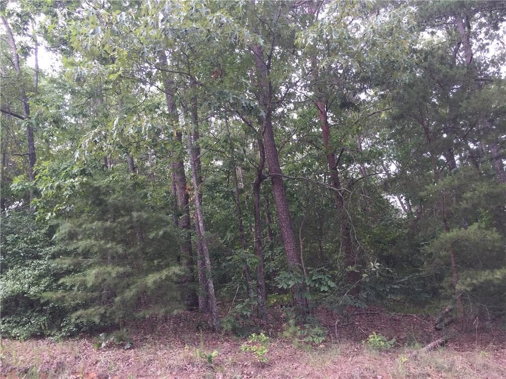 other sold at 01 Pirkle Leake Road, Dawsonville, GA 30534