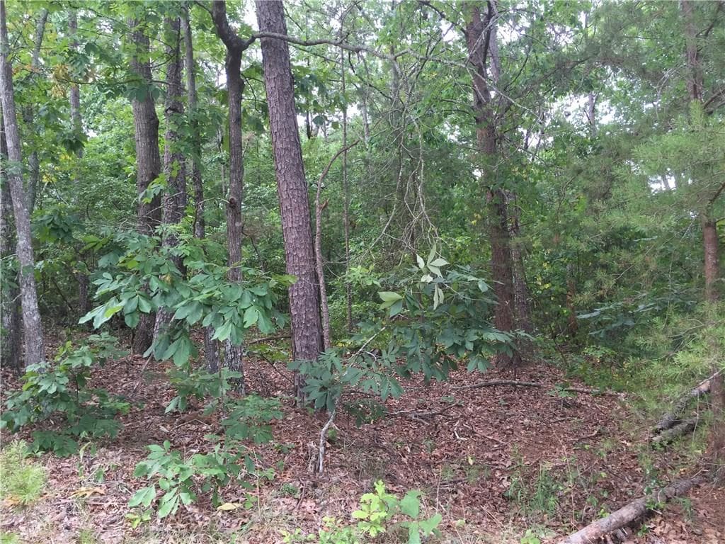 other sold at 00 Pirkle Leake Road, Dawsonville, GA 30534