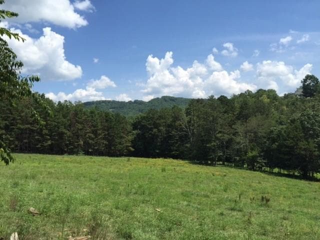 other sold at 0 Cut Cane Road, Mineral Bluff, GA 30559