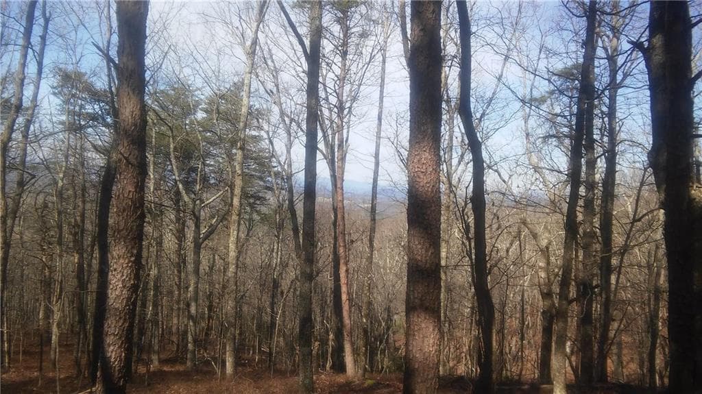 single family residence sold at Lt 181 Boulder Falls Lane, Jasper, GA 30143