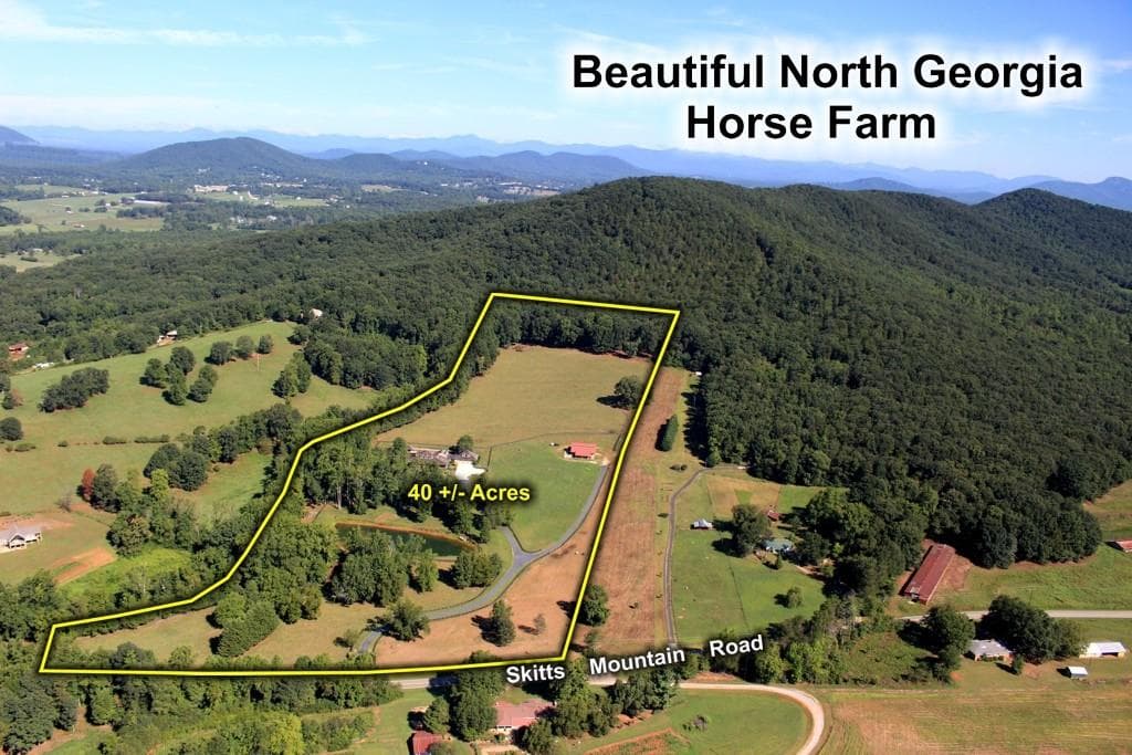 other sold at 8491 Skitts Mountain Road, Clermont, GA 30527