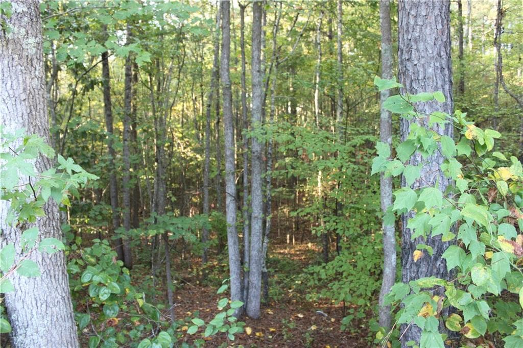 other sold at 0 Dandy Road, Dallas, GA 30132
