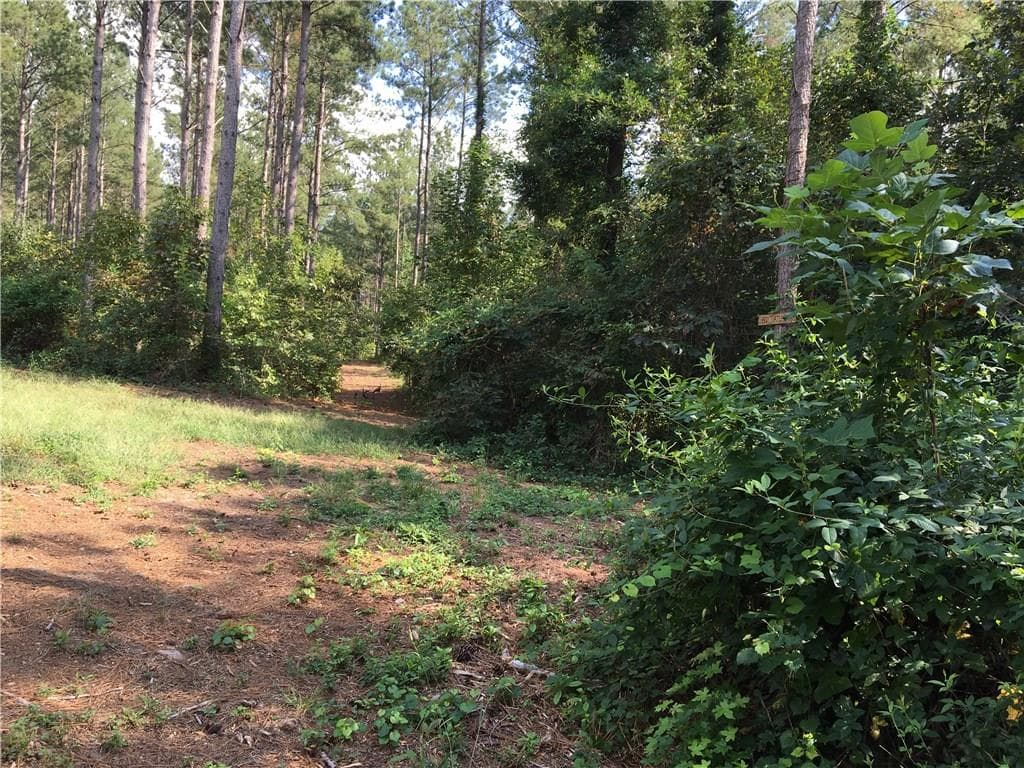 other sold at 0 Reavis Mountain Road, Ball Ground, GA 30107