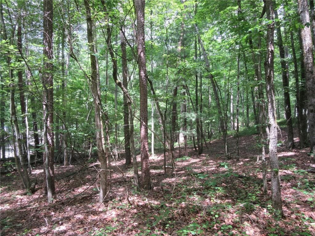 single family residence sold at 9062 The Paddock, Big Canoe, GA 30143