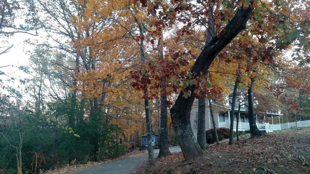 1840 Henry Scott Road, Ball Ground, GA 30107 — most recent listing photo