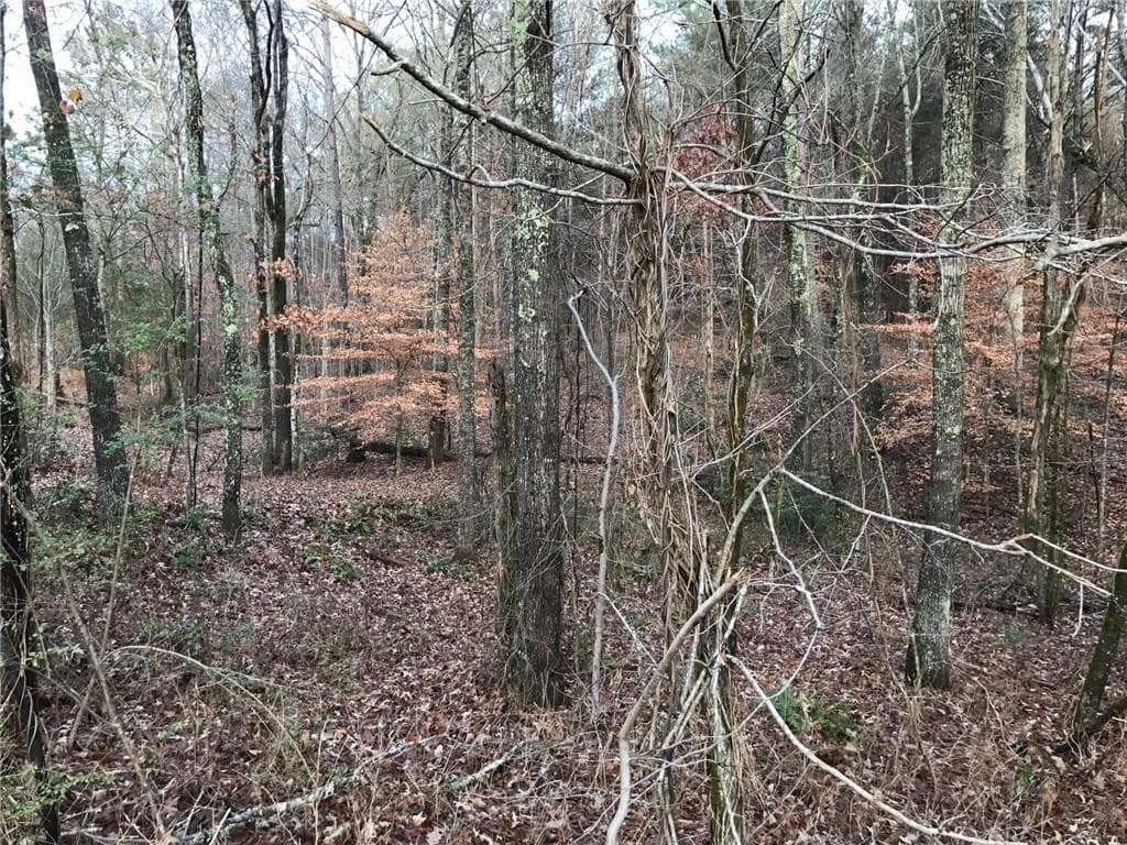 other sold at Tract1 Upper Bethany Road, Ball Ground, GA 30107