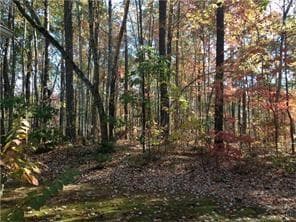 91 Tricias Way, Temple, GA 30179 — most recent listing photo
